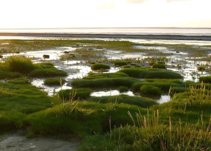 ファームステイ Sophienhof Kronprinzenkoog